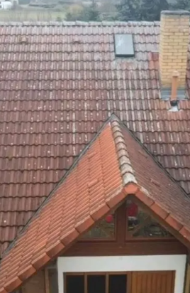 Dach vorher Dachreinigung vorher Ortenau