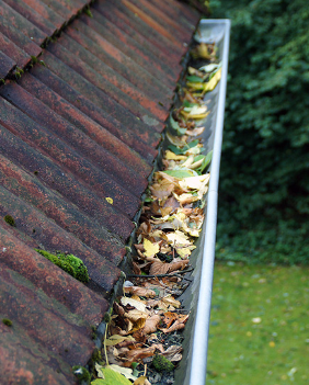 Dachrinne vorher Dachrinnenreinigung vorher Ortenau