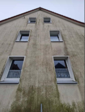 Fassade vorher Fassadenreinigung vorher Ortenau